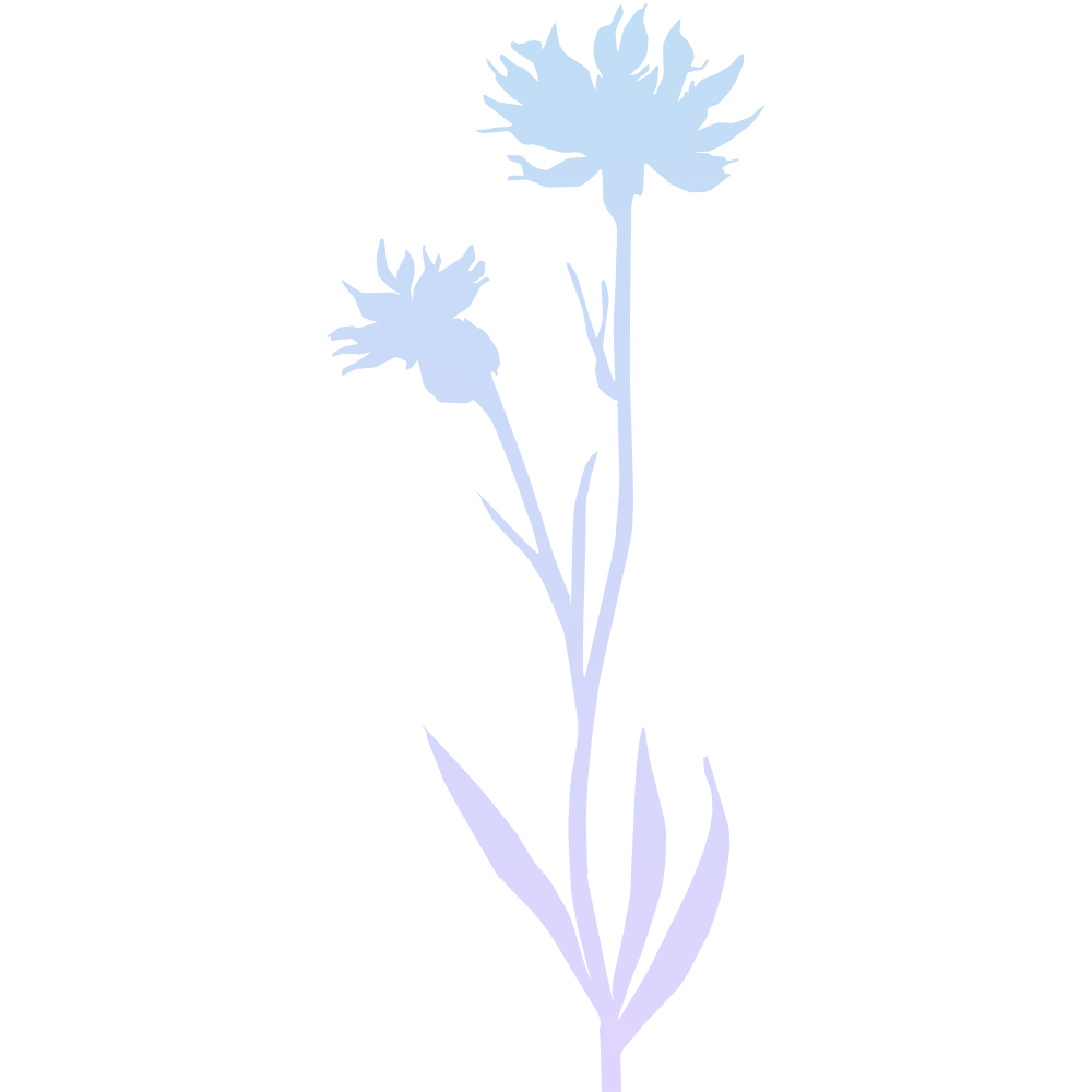 zahrada