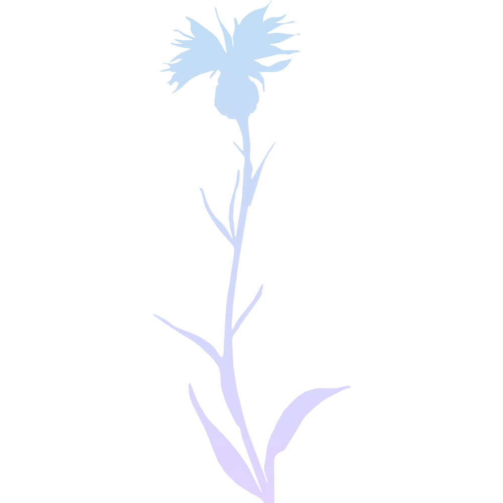 zahrada