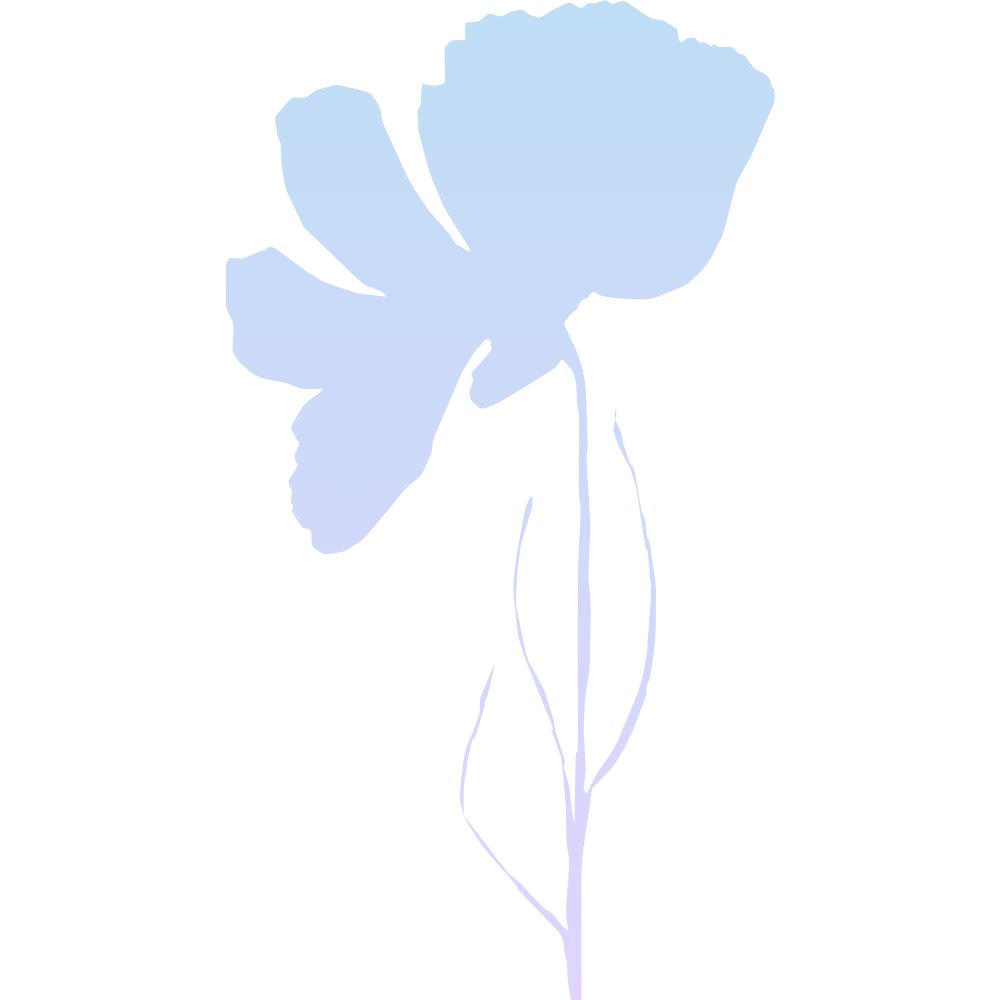 zahrada