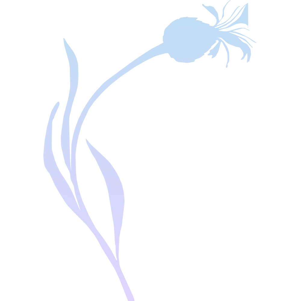 zahrada