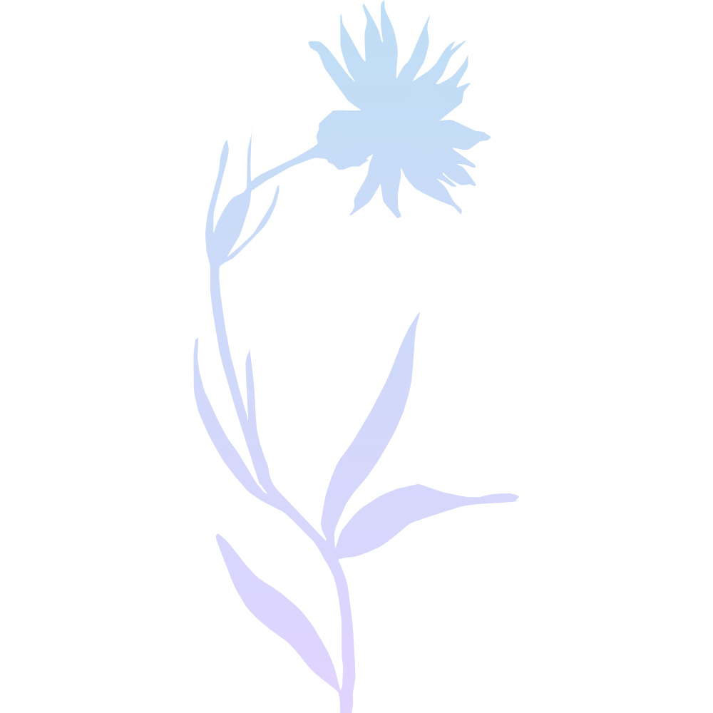zahrada